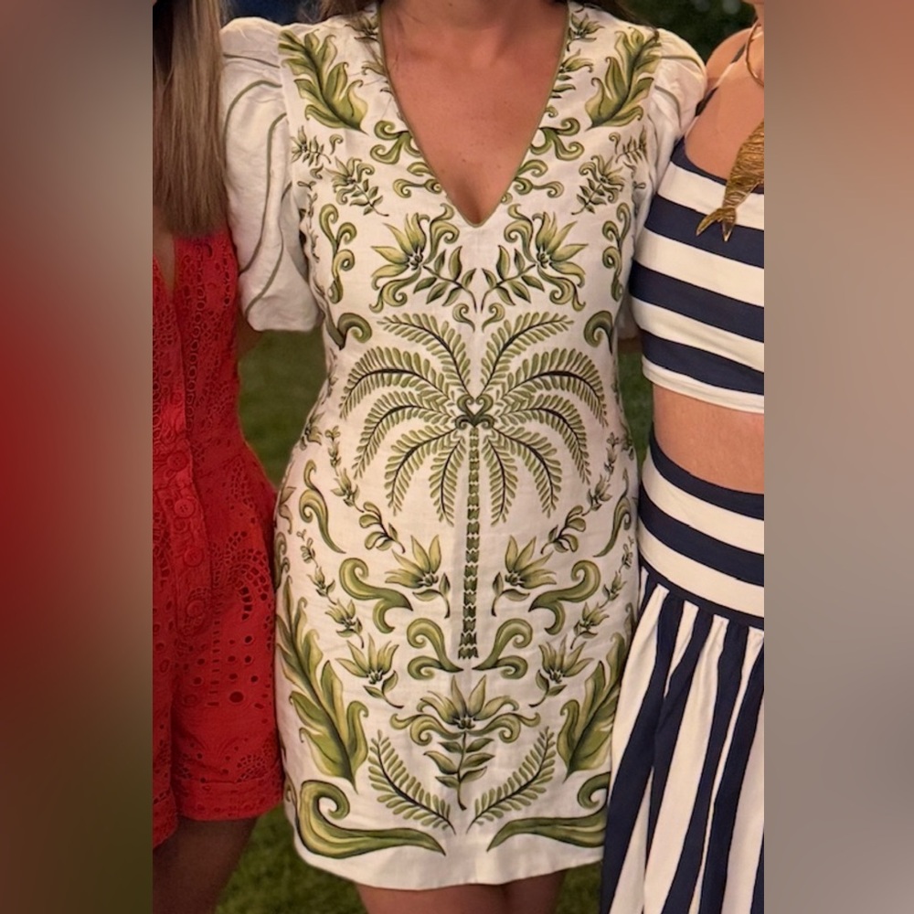 Farm Rio Green and White Dress
